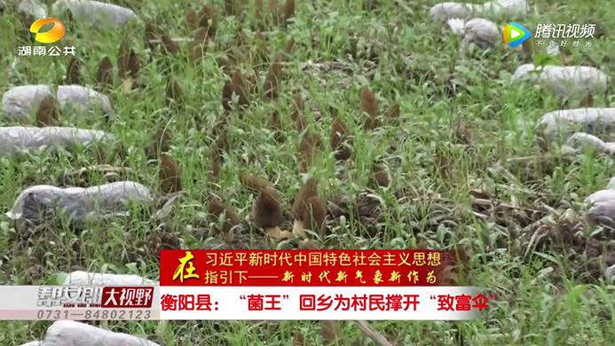 湖南金芙農(nóng)業(yè)科技有限公司,羊肚菌,蛹蟲草鮮品,蛹蟲草干品,蟲草超微粉,蟲草酒哪里好 湖南金芙農(nóng)業(yè)科技有限公司,羊肚菌,蛹蟲草鮮品,蛹蟲草干品,蟲草超微粉,蟲草酒哪里好